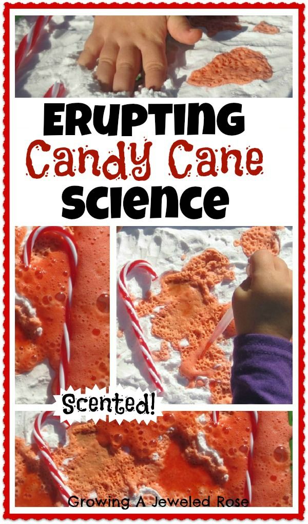 5 Candy Cane Experiment Ideas for Kids