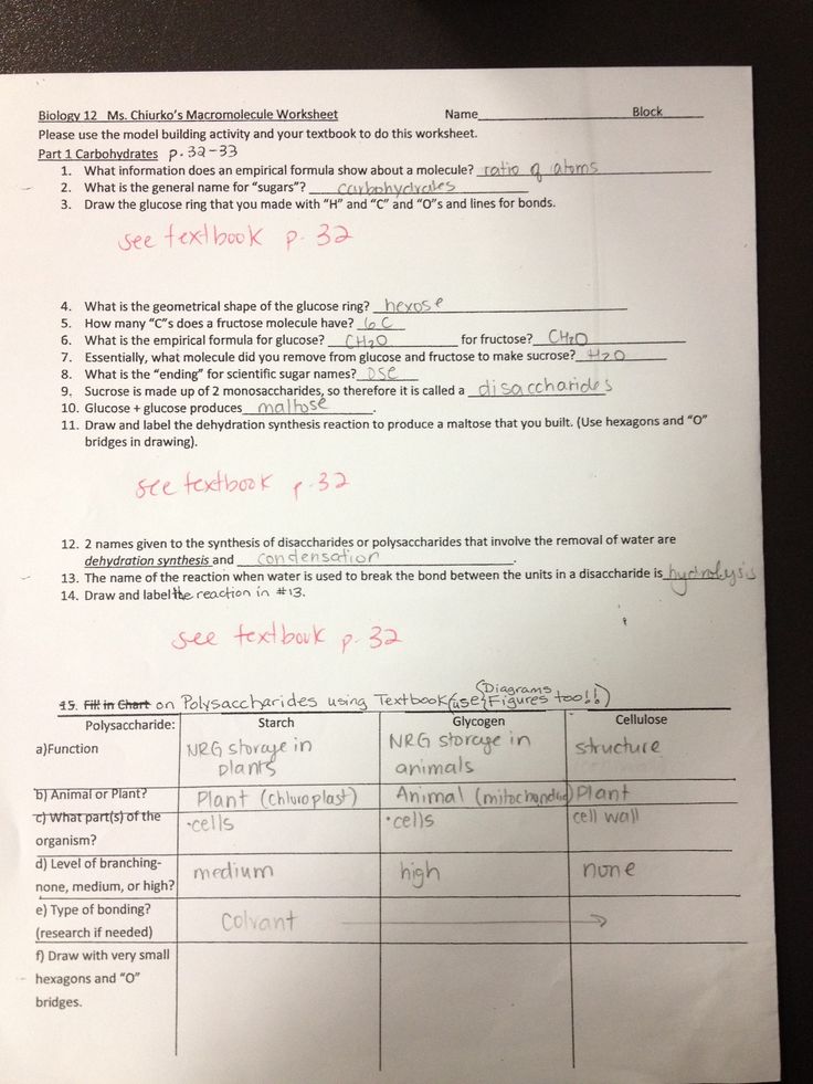 Carbohydrates Worksheet Answer Key