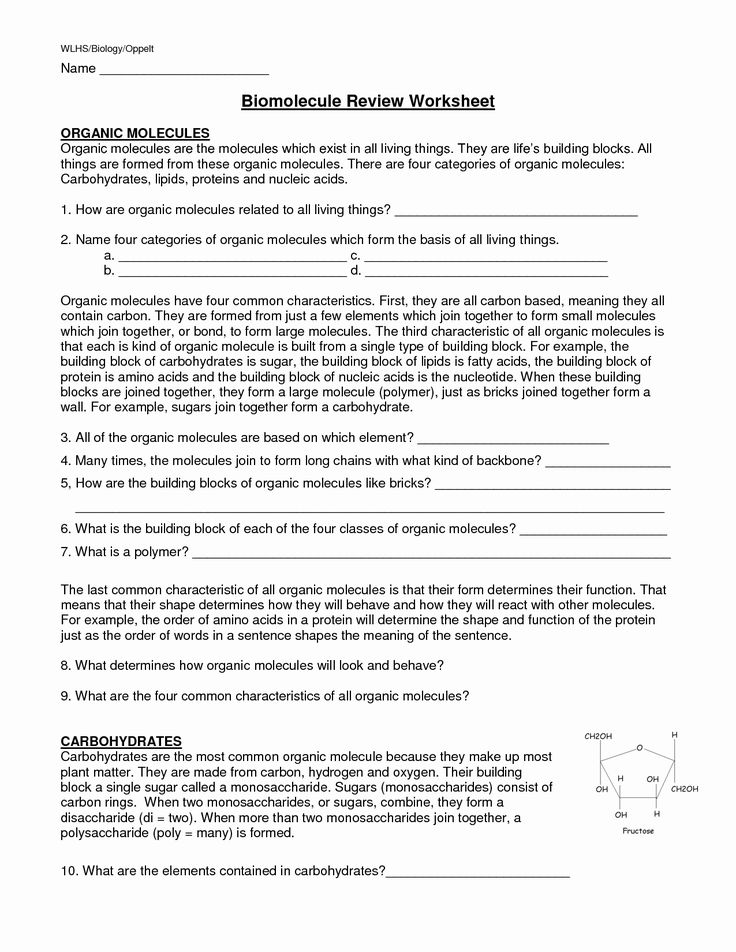 Carbohydrates Worksheet Answers Made Easy