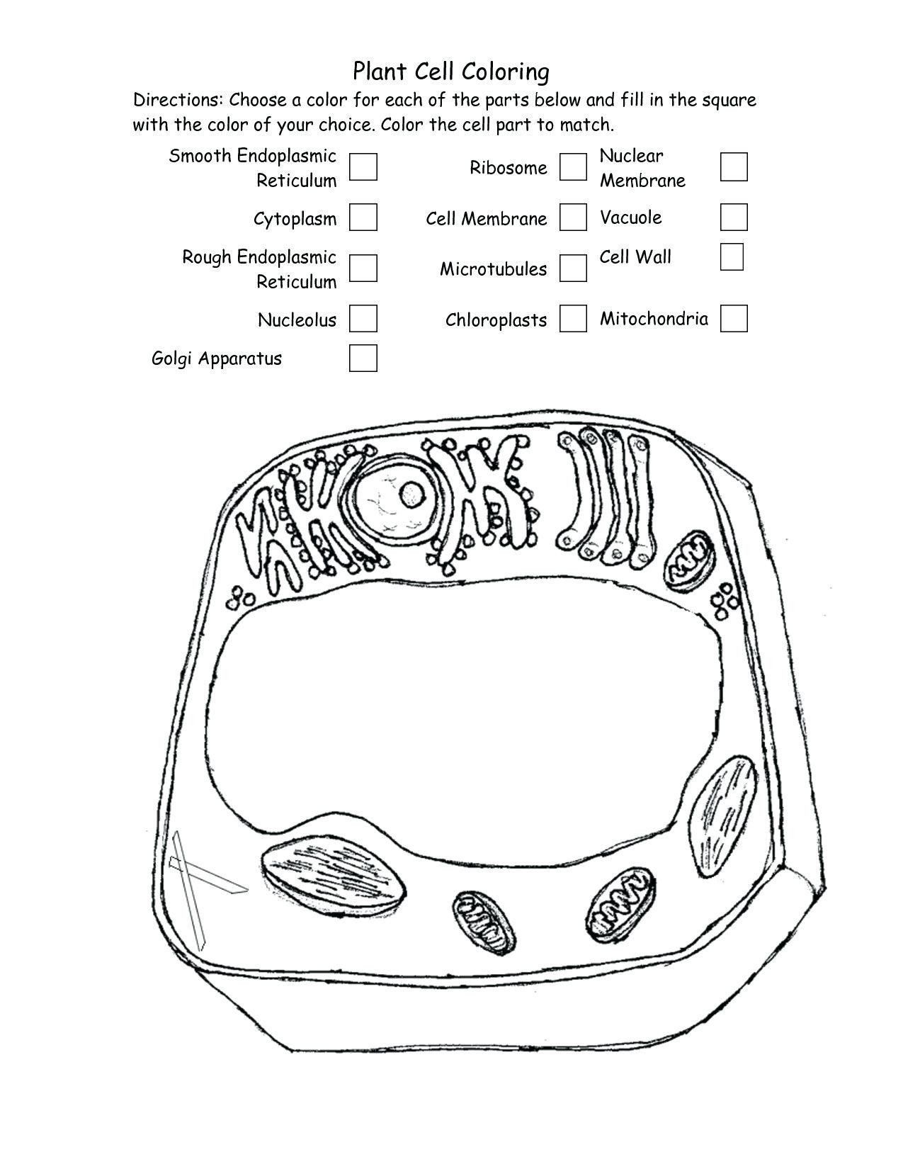 5 Ways to Master Cell Coloring Worksheets