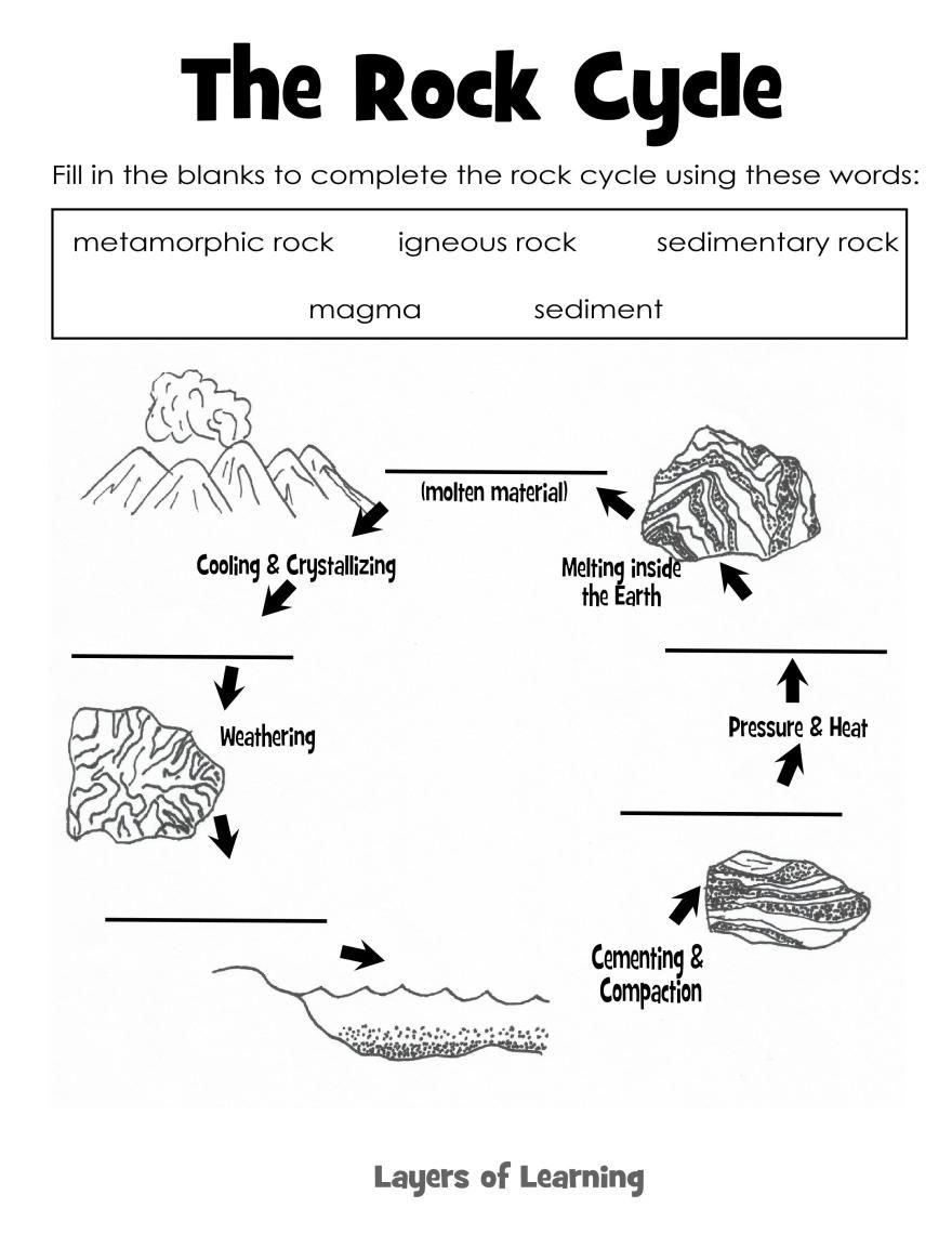 Cell Cycle Coloring Worksheet Pdf