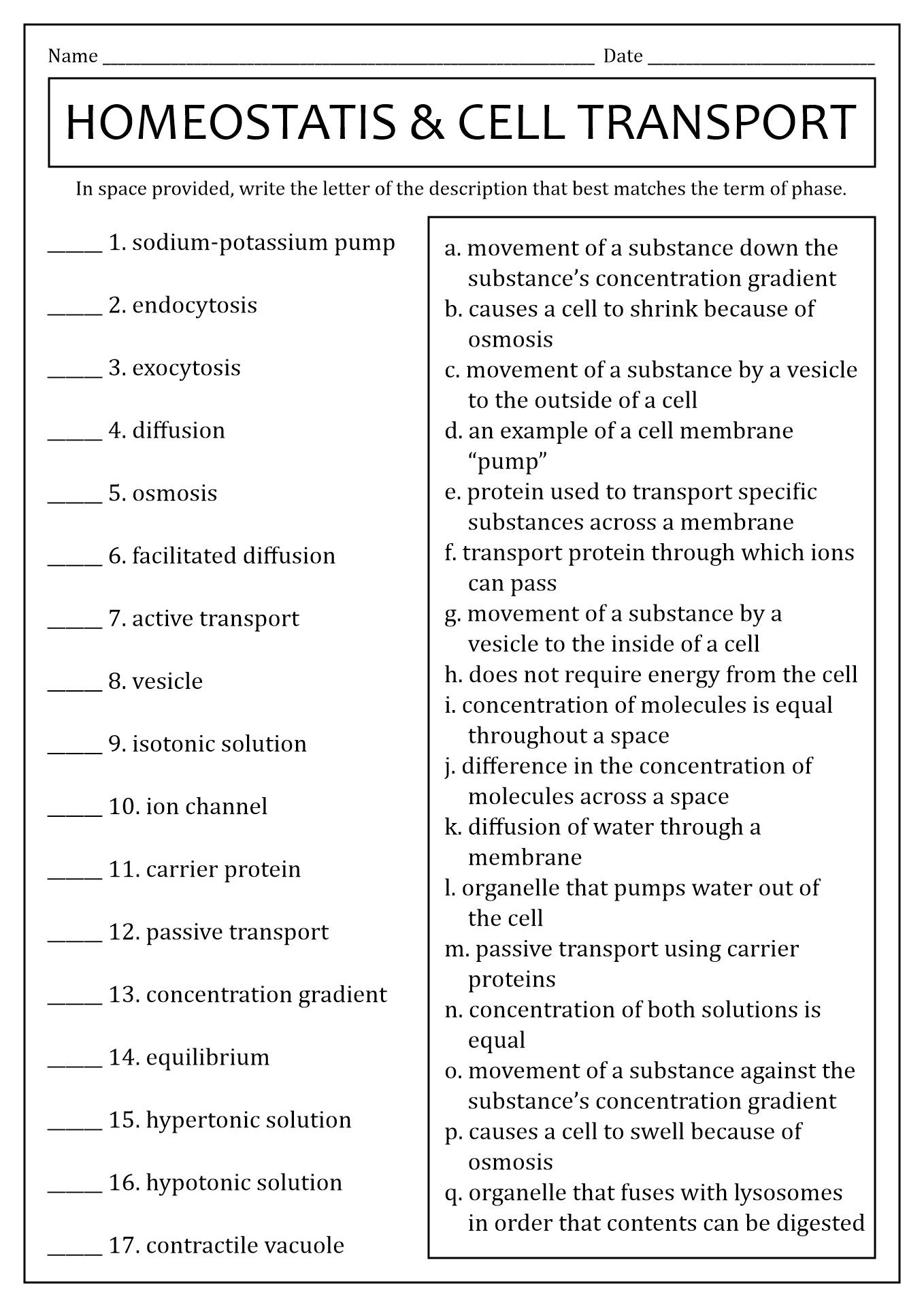 Cell Homeostasis Virtual Lab Worksheet: Balancing Body Functions