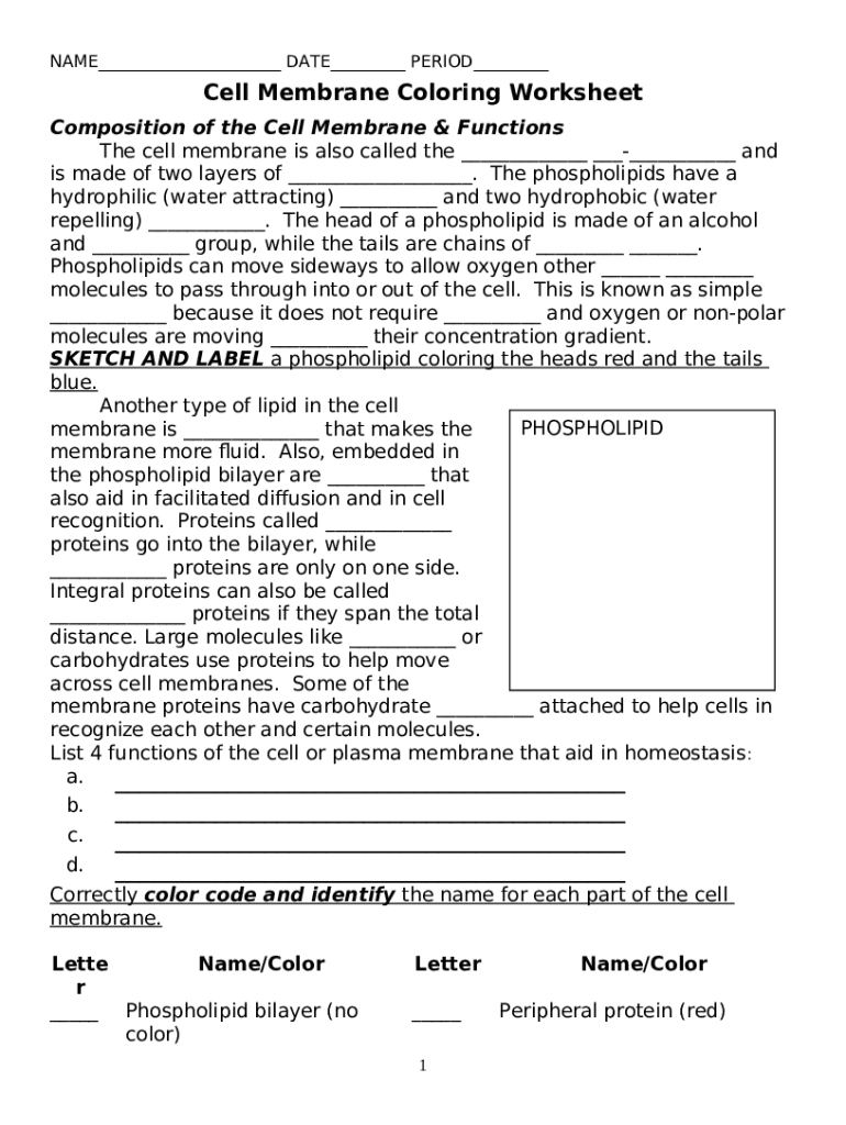 Cell Membrane Color Worksheet for Biology Students