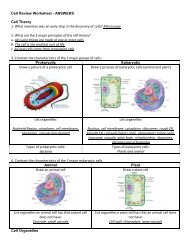 Cell Organelles Worksheets Worksheetsgo