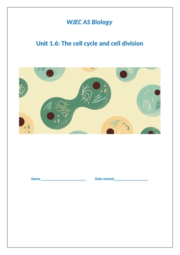 Cell Cycle Worksheet: Uncover the Secrets of Cell Division