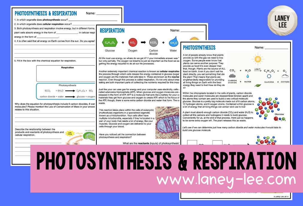 5 Essential Steps of Cellular Respiration and Photosynthesis