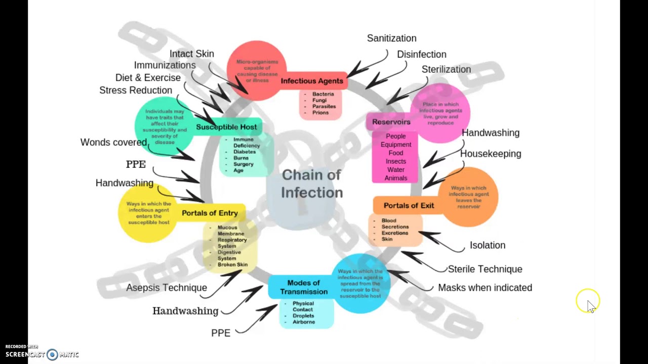 Chain Of Infection Worksheet Quizlet