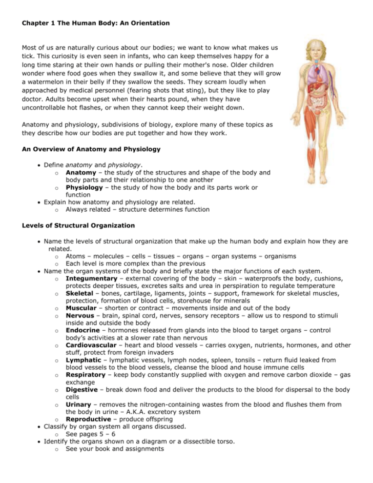 5 Ways to Master Human Anatomy and Physiology Basics