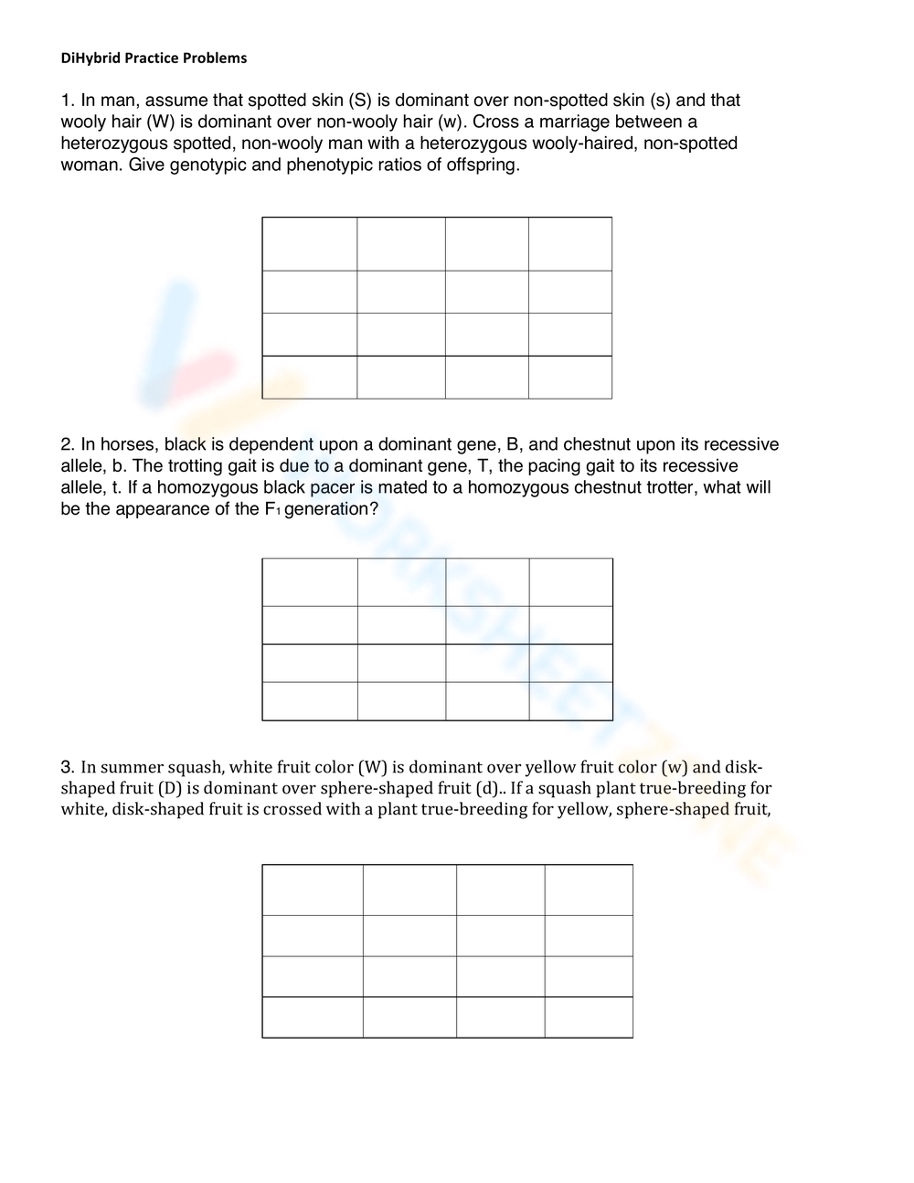 Dihybrid Cross Worksheet Made Easy for Genetics Students