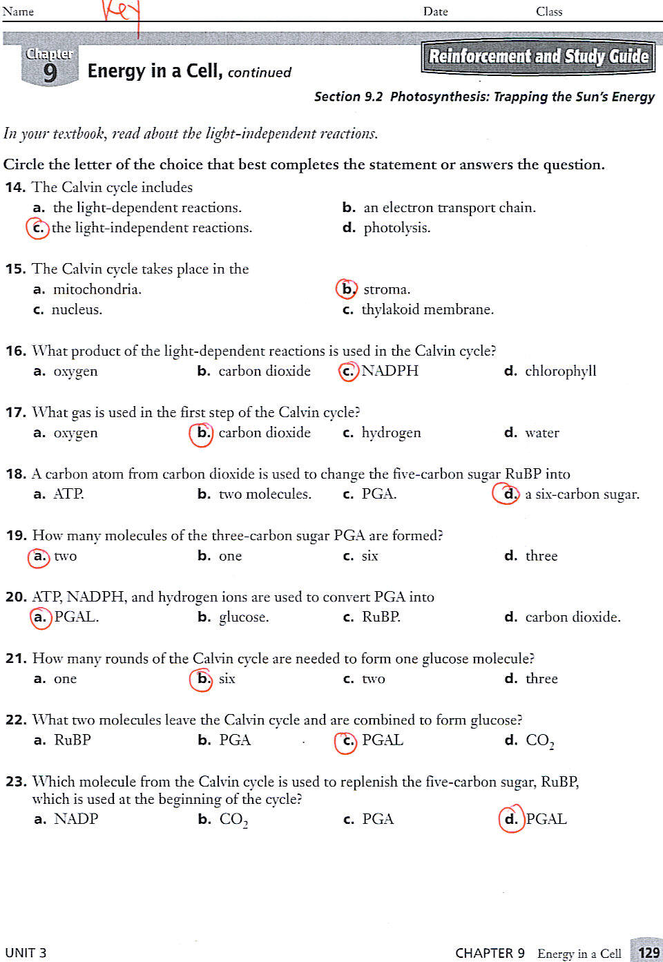 8 Ways to Ace Chapter 8 Biology Worksheet Answers