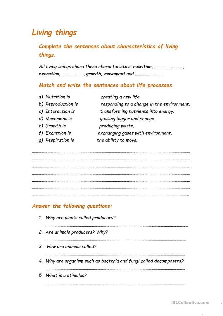 Living Things Worksheet Answer Key for Biology Success