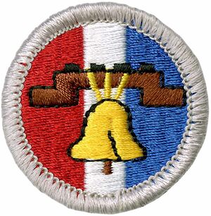 Citizenship in Society Merit Badge Made Easy