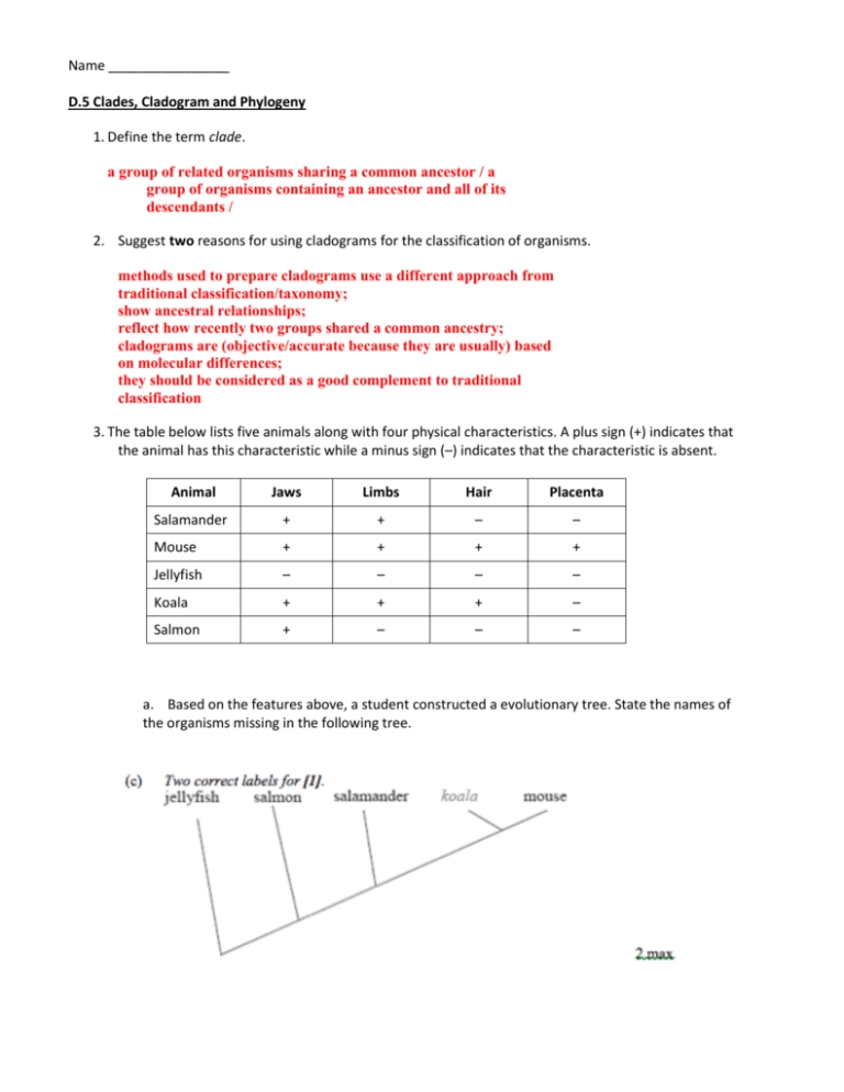 Cladogram Worksheet Answers Key