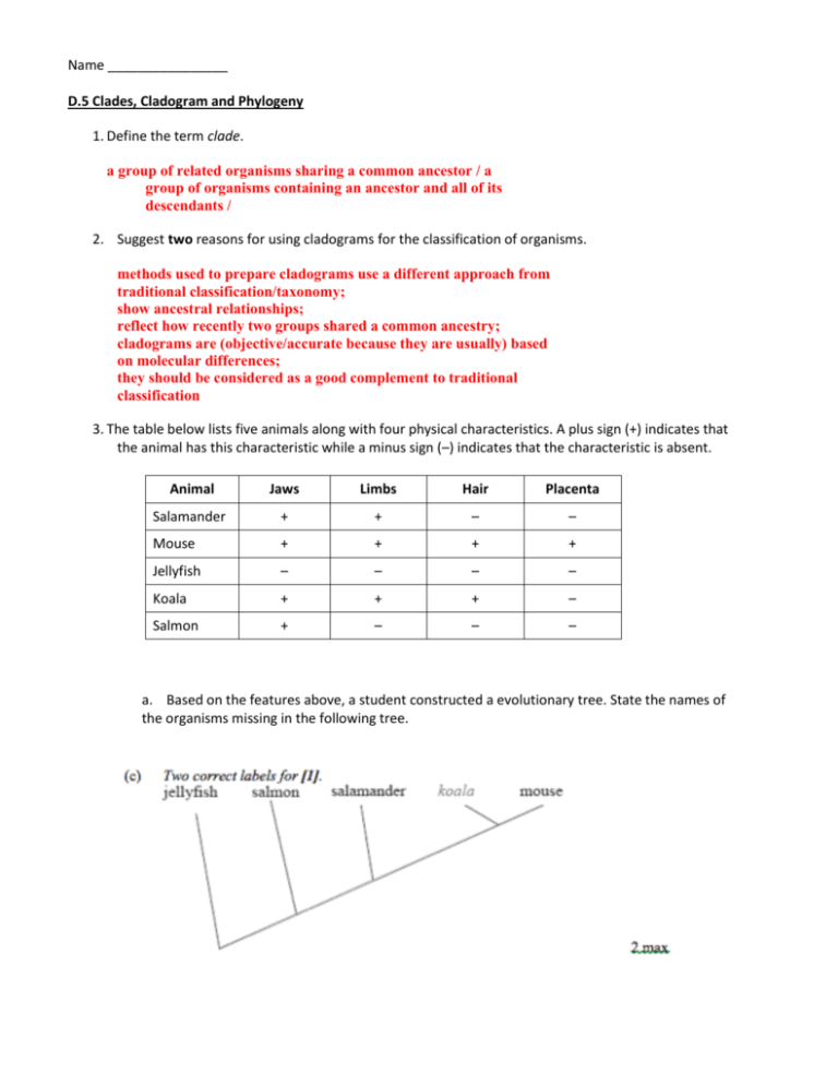 Cladogram Worksheet With Answers Pdf