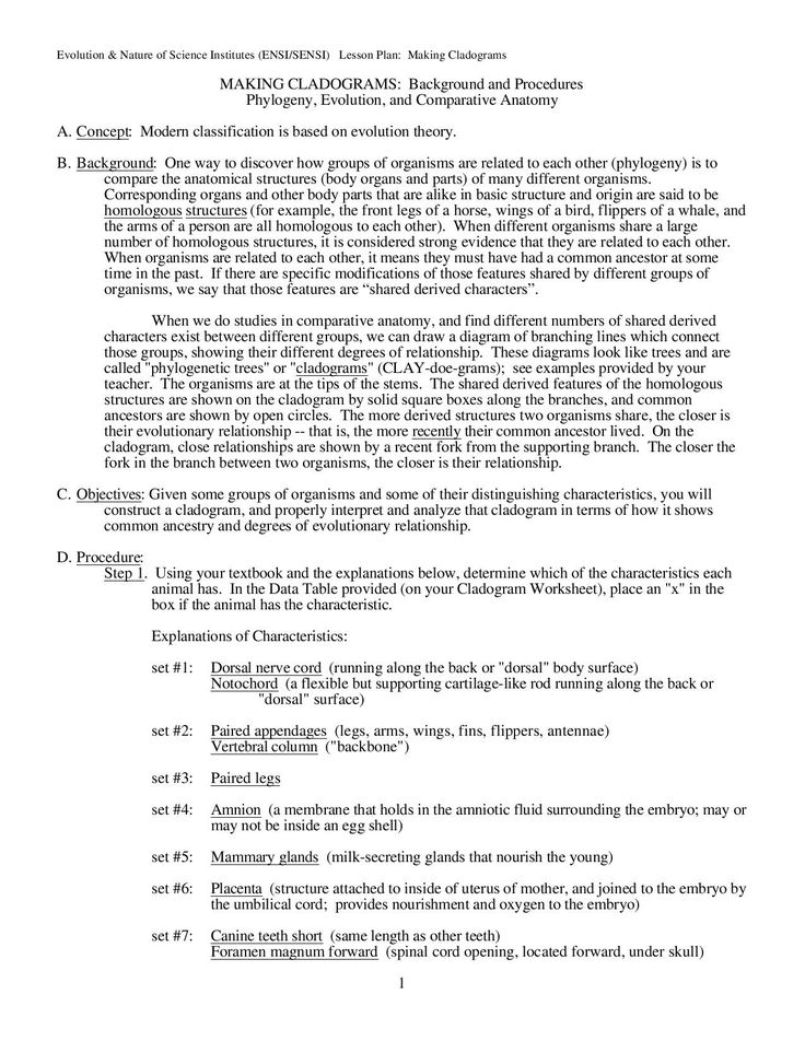 Cladogram Worksheet With Answers