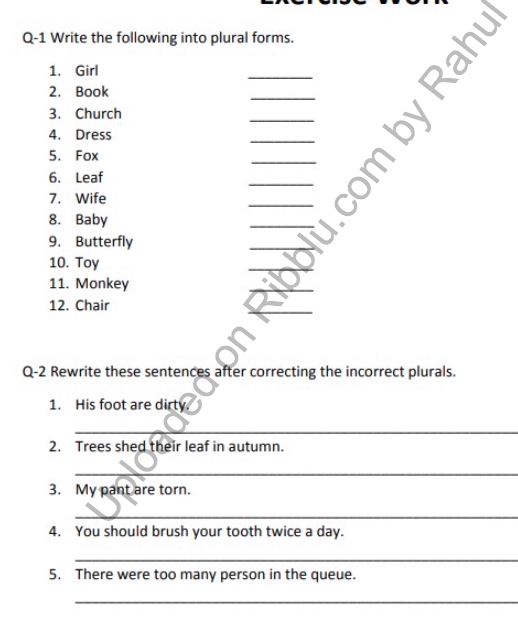 Class 3 English Singular And Plural Nouns Worksheets Plurals Plural Nouns Worksheet Nouns