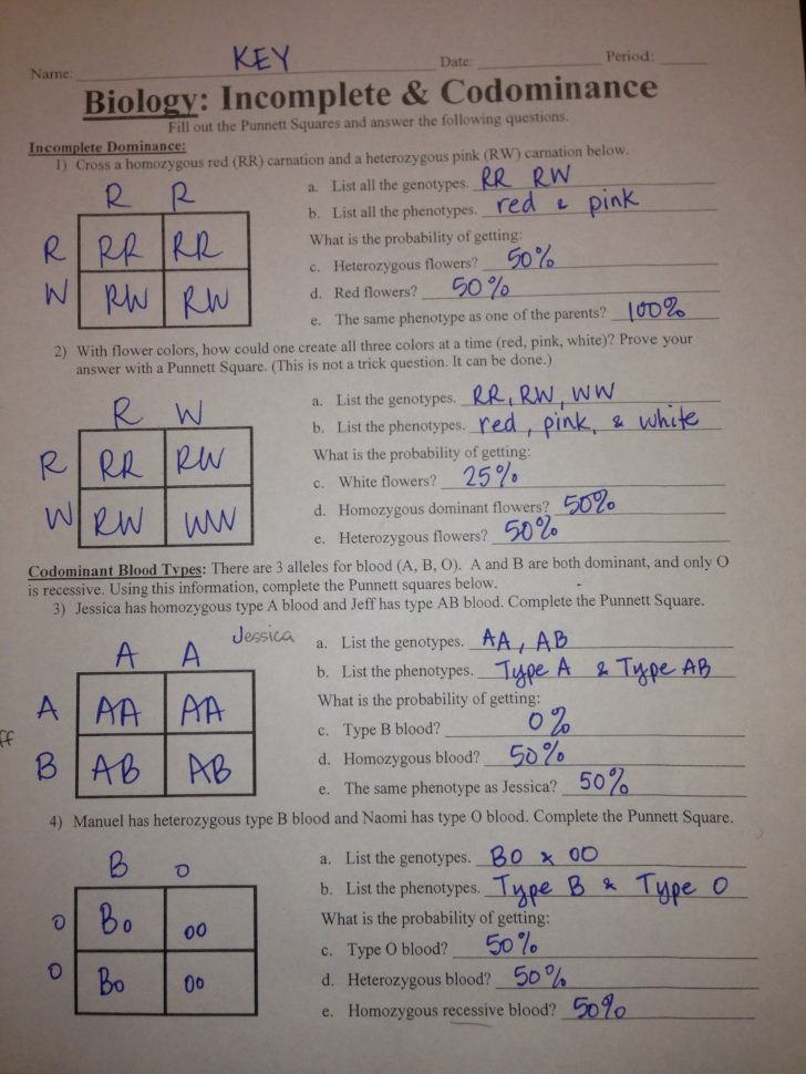 Codominance And Incomplete Dominance Genetics Coloring Worksheet