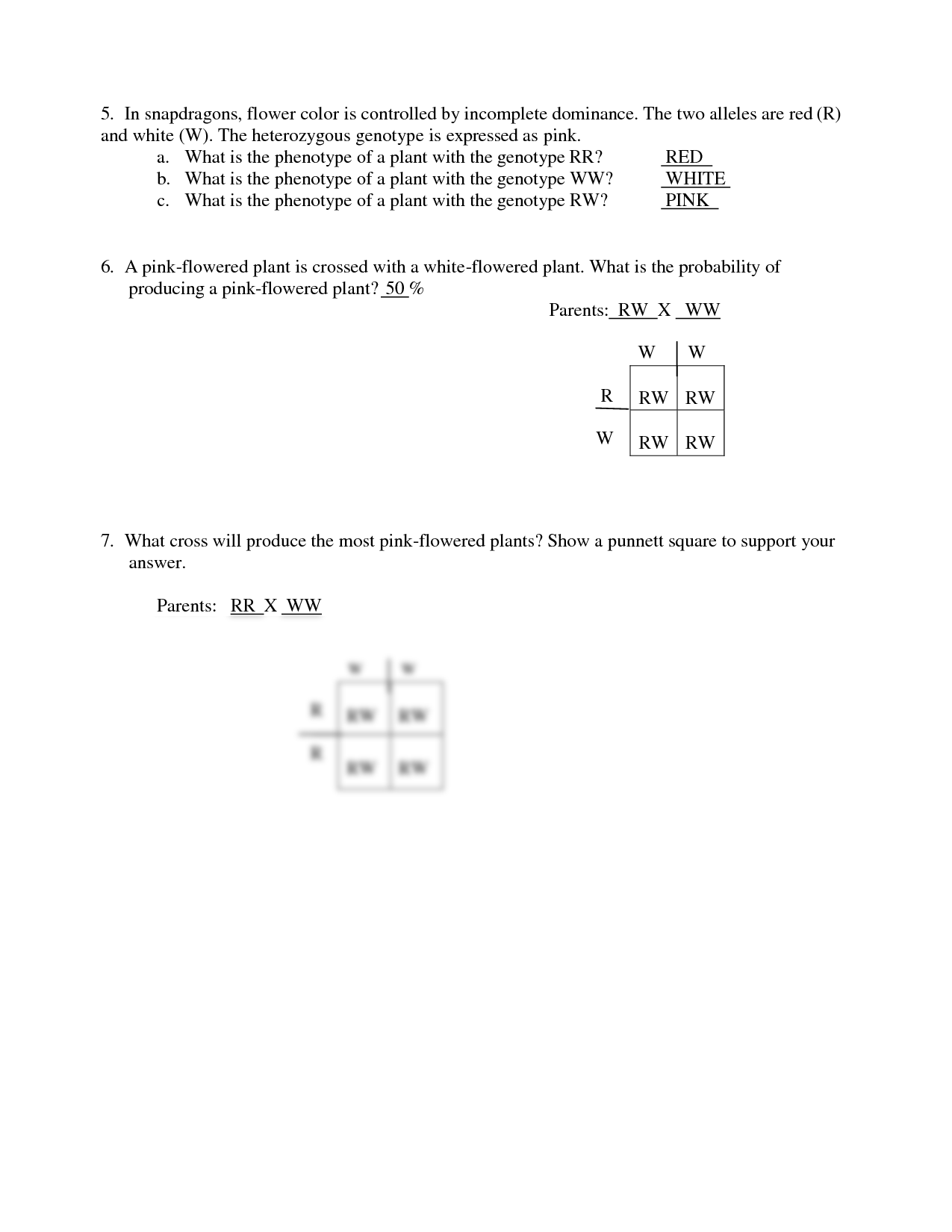 Codominance And Incomplete Dominance Worksheet