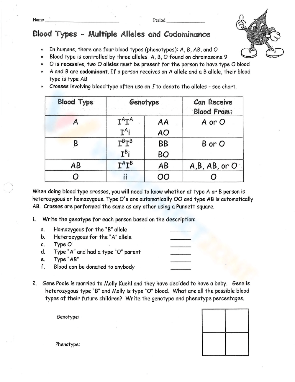 Codominance Worksheet Blood Types Answers Key