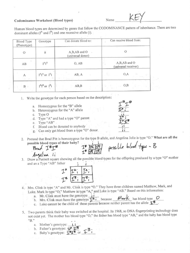 Codominance Worksheet Blood Types E Street Light