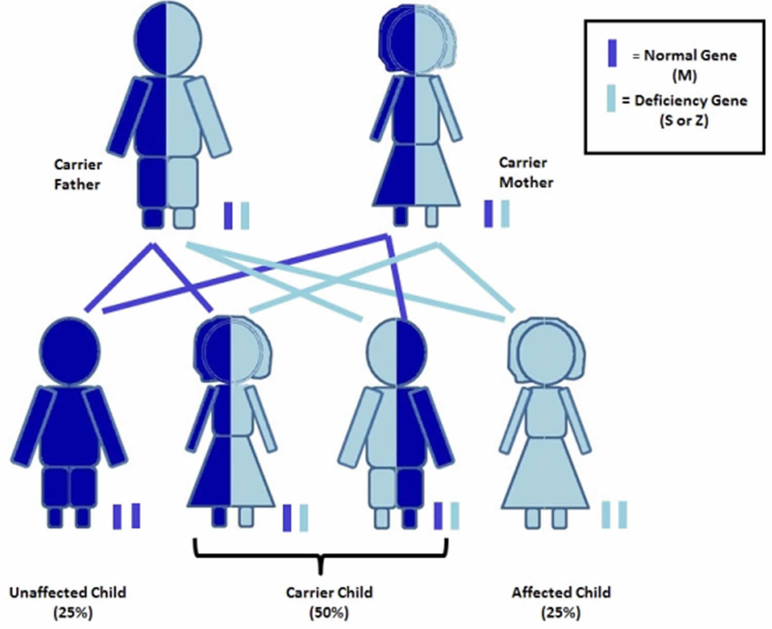 5 Ways to Master Codominant Inheritance