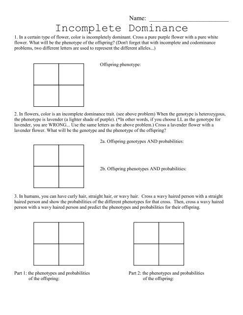 Codominant Incomplete Dominance Genetics Worksheet