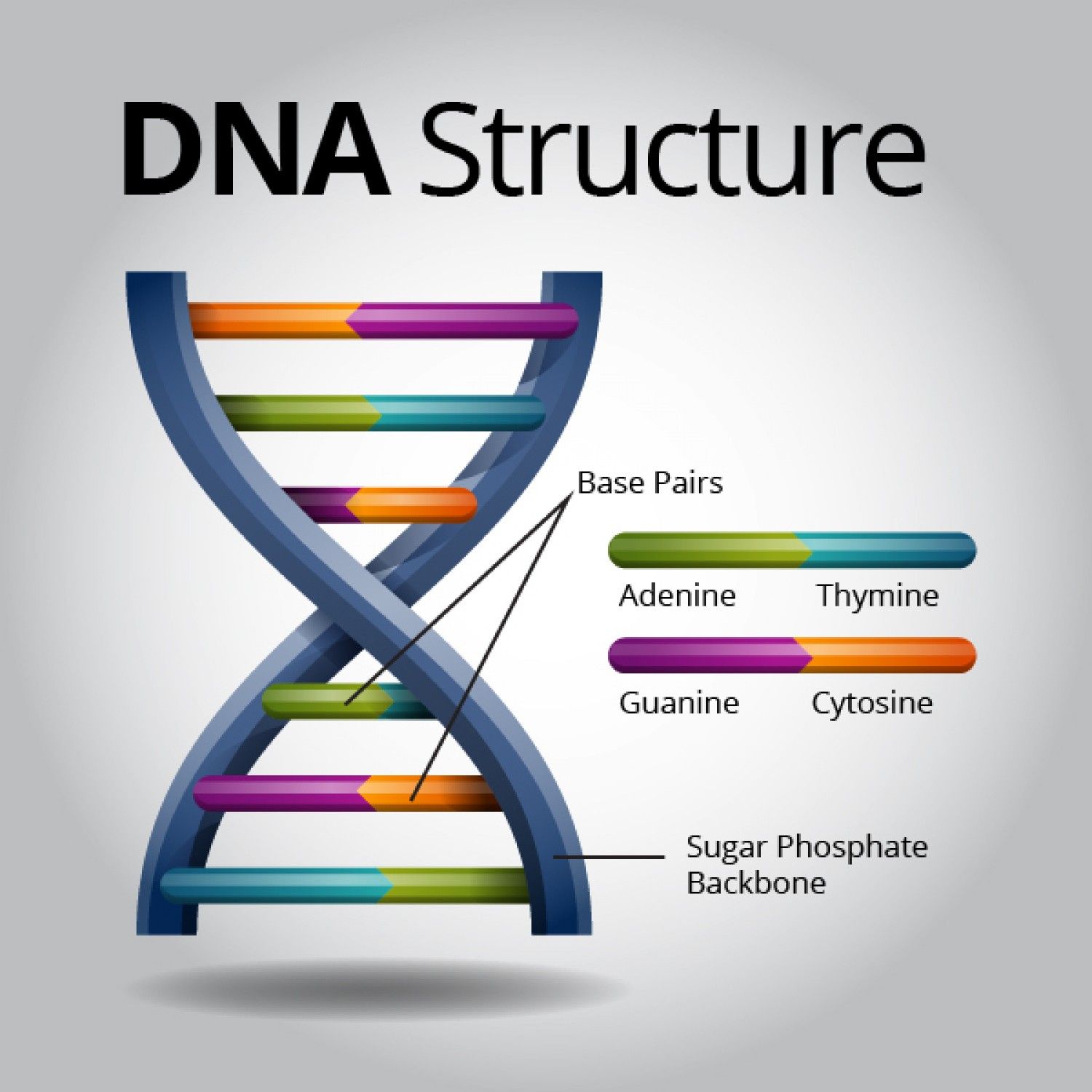 Decoding Colors: The Color DNA Worksheet Explained