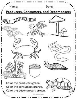 Color The Producers Consumers And Decomposers Interactive Notebooks