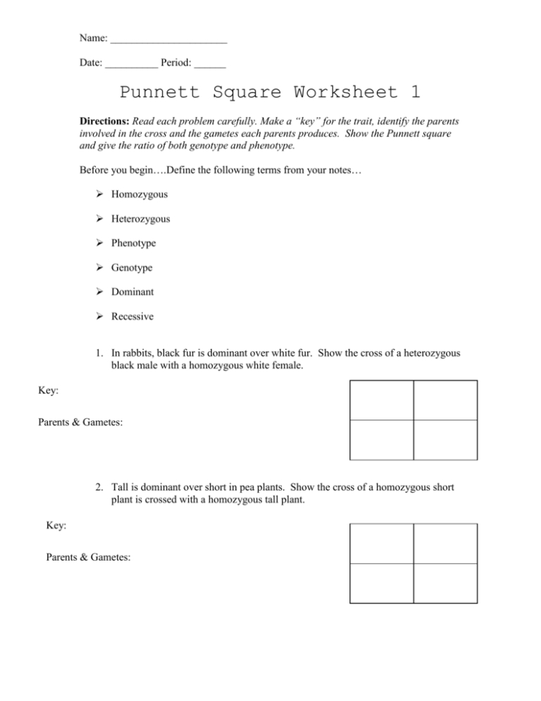 Complete Dominance Punnett Square Worksheet