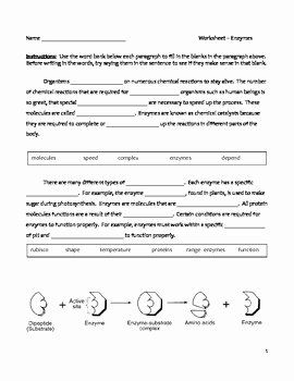 Crash Course Biology Worksheets for Easy Learning