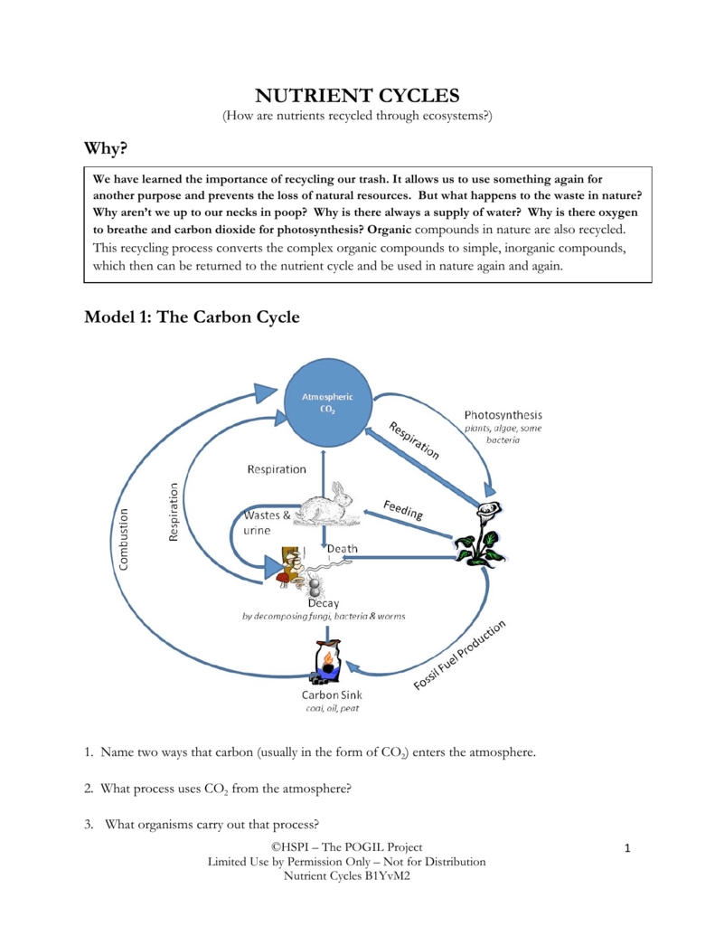 7 Cycles Worksheet Answer Key Secrets Revealed