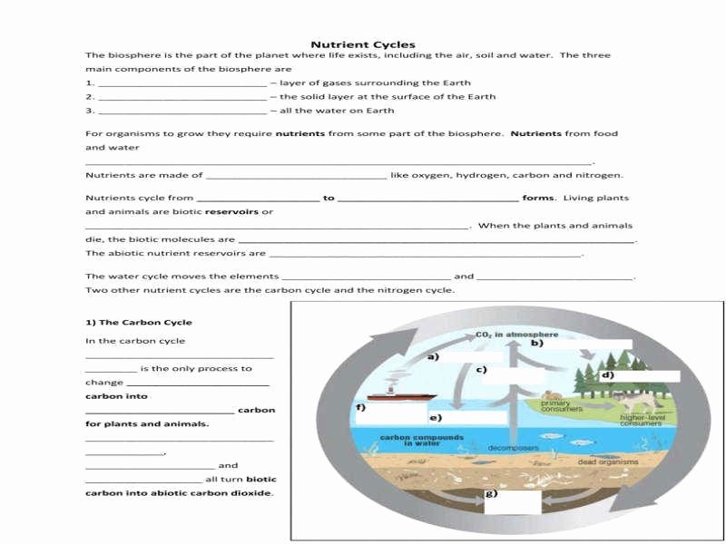 7 Cycles Worksheet Answers to Ease Your Homework