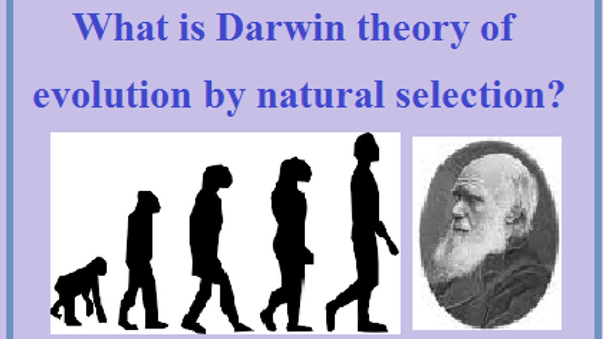 5 Ways to Master Darwin's Natural Selection Concept