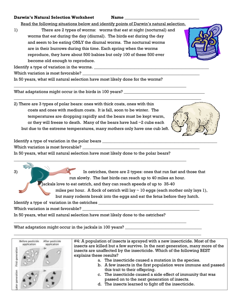 Darwin's Natural Selection Worksheet Answer Key