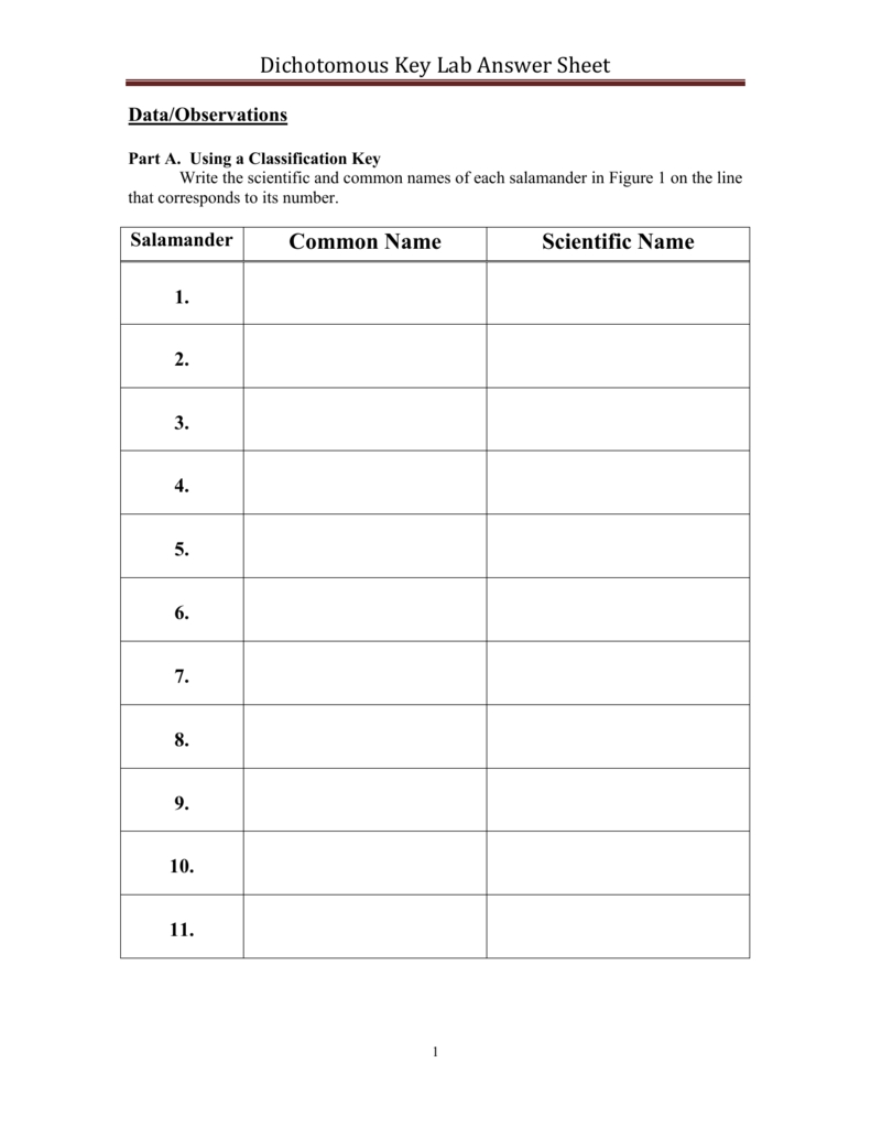 Dichotomous Key Worksheet Answers Made Easy