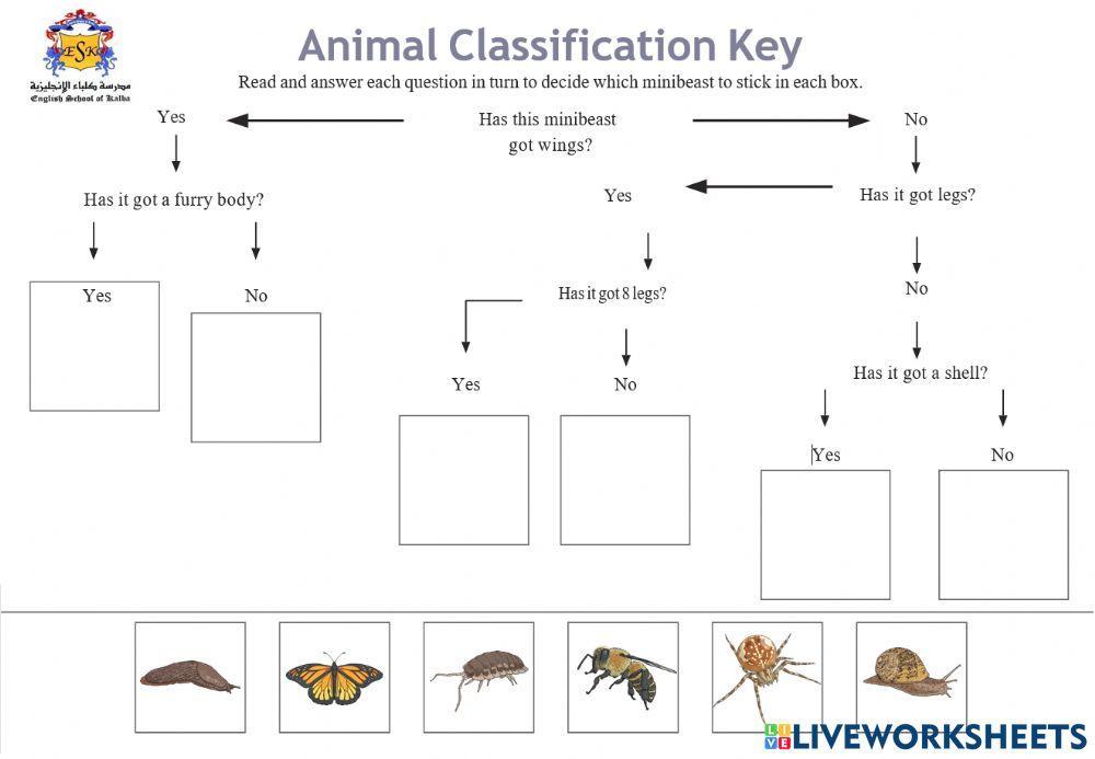 Mastering Dichotomous Keys Worksheet with Ease and Accuracy