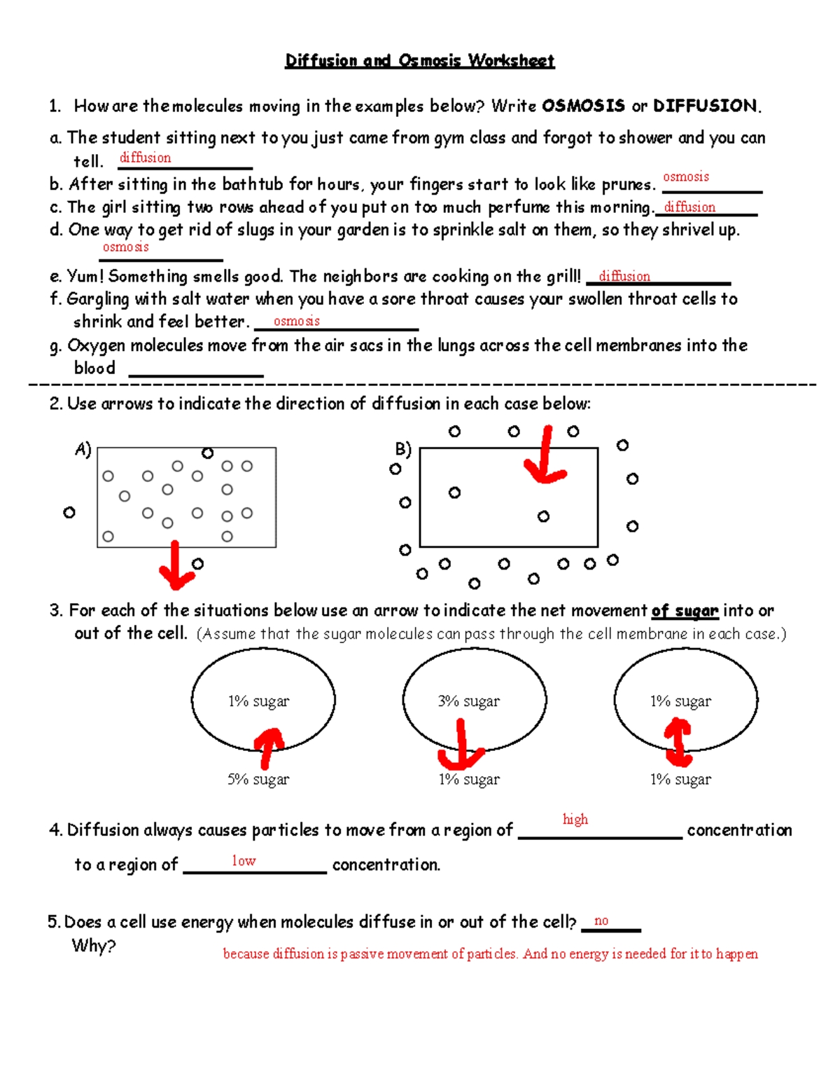 Diffusion And Osmosis Answer Key 1 Docx General Biology Ii 101 Dcn