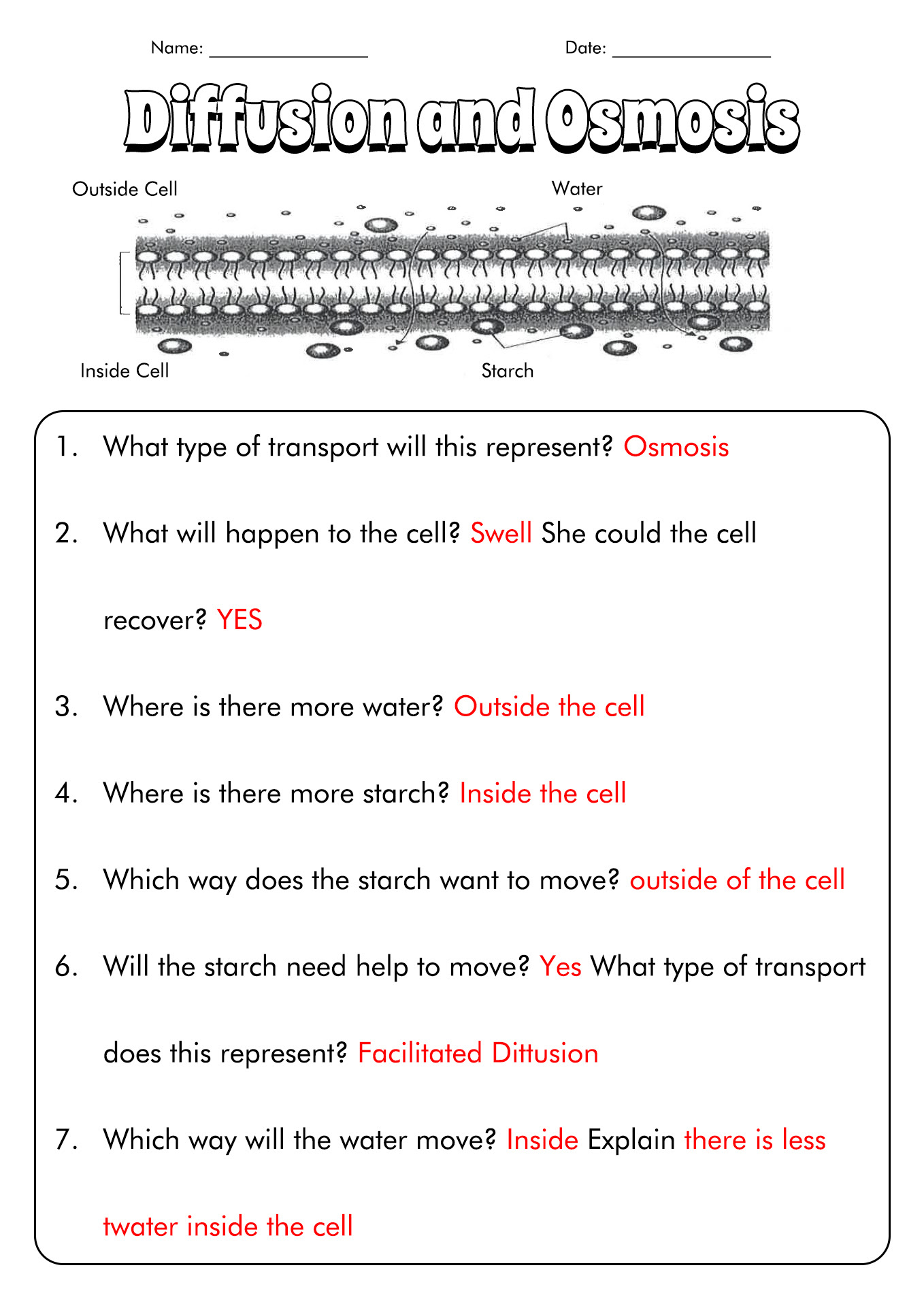 Diffusion and Osmosis Worksheet Answer Key Explained