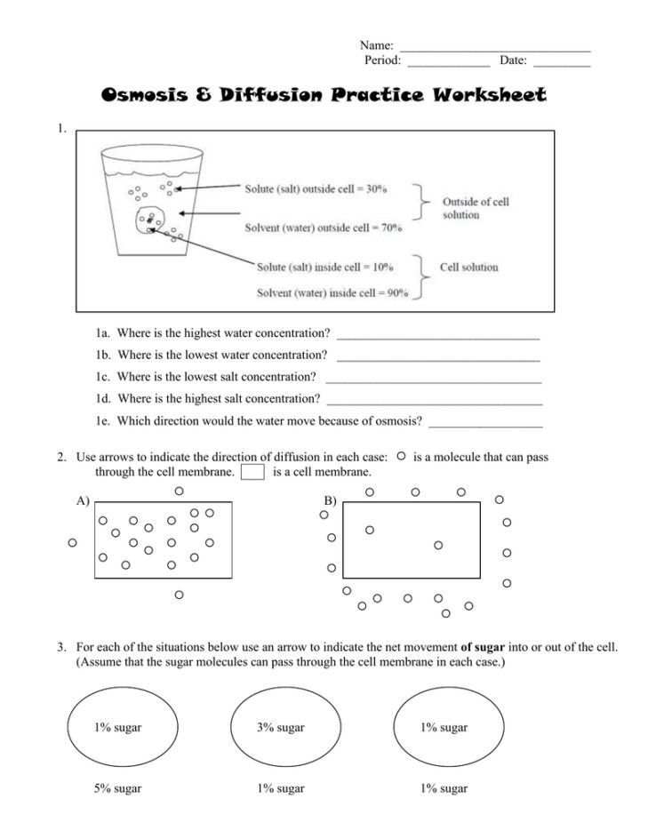 Diffusion And Osmosis Worksheets Answer Key