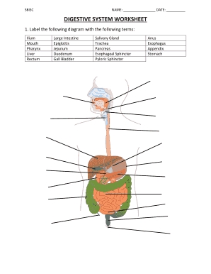 Digestive System Worksheet Pdf Fill And Sign Printable Template Online