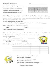 Dihybrid Cross Worksheet Answer Key Simplified