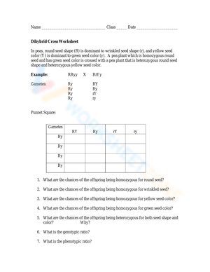 Dihybrid Cross Worksheet Pdf