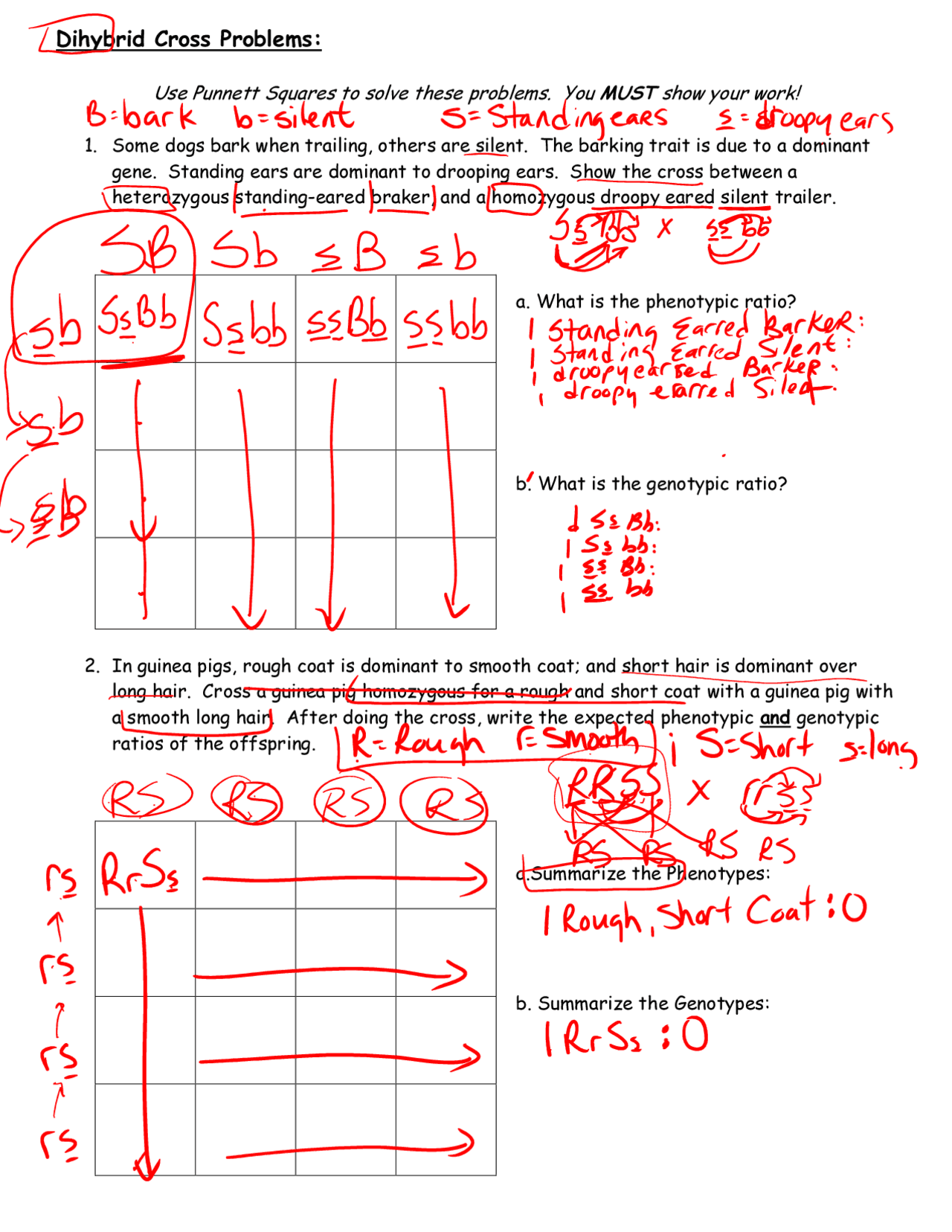 Dihybrid Cross Worksheet Answers for Genetics Mastery