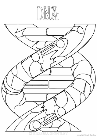 DNA Coloring Worksheet Fun Learning Activity