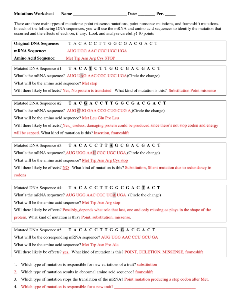 5 Ways to Master DNA Labeling Worksheet Answers