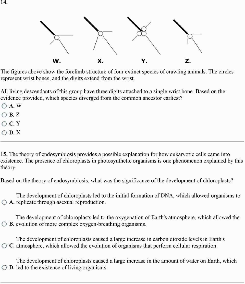 DNA Replication Coloring Worksheet Answers Made Easy