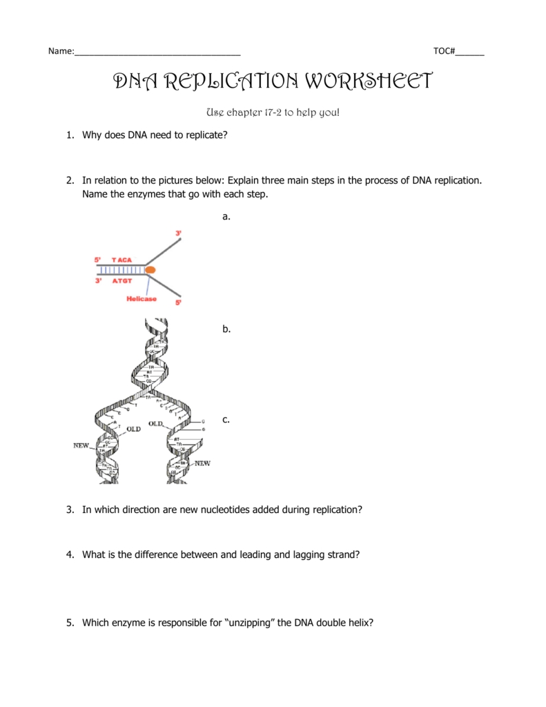 Dna Replication Worksheet Answers Owhentheyanks Com