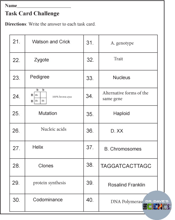 Dna Replication Worksheet Pdf