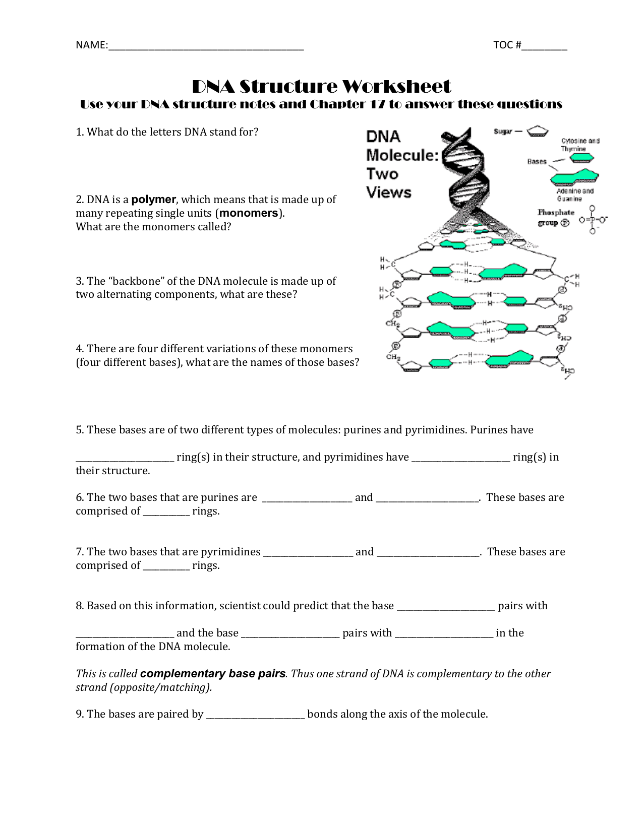 5 Key Facts About DNA Structure and Function