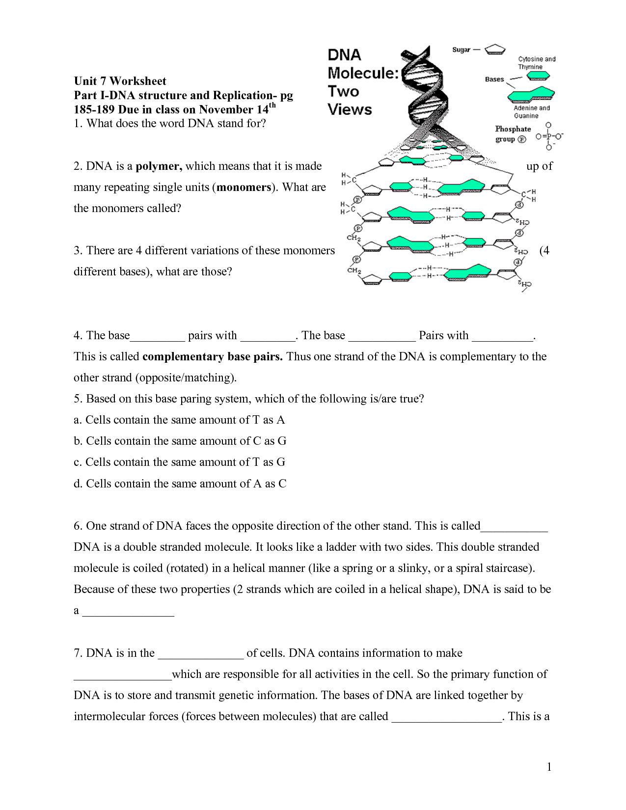 Dna Structure Worksheet Answers